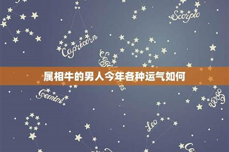 梦见大红鲤鱼是什么意思？