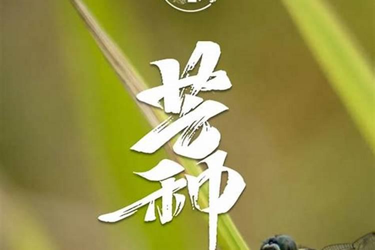 梦见性欲欲望是什么意思