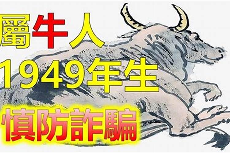 1949年出生属牛人2023年运势及运程