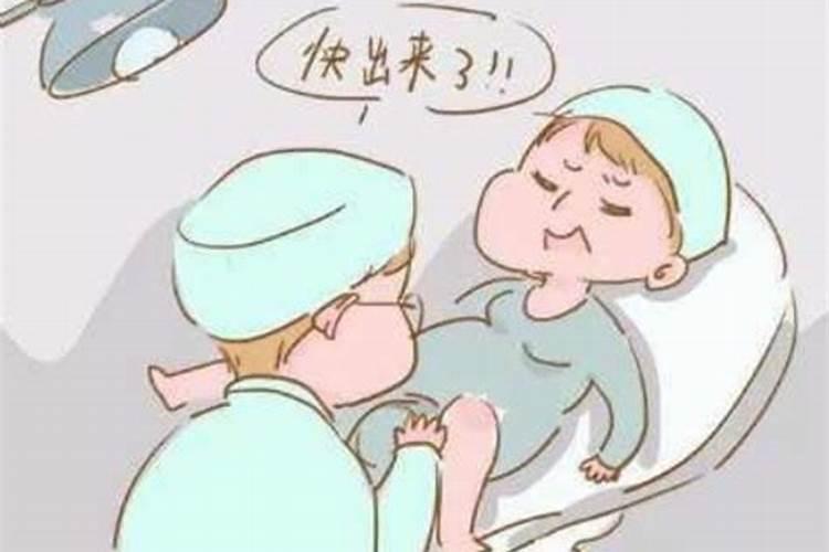 2025属虎人全年12个月运势