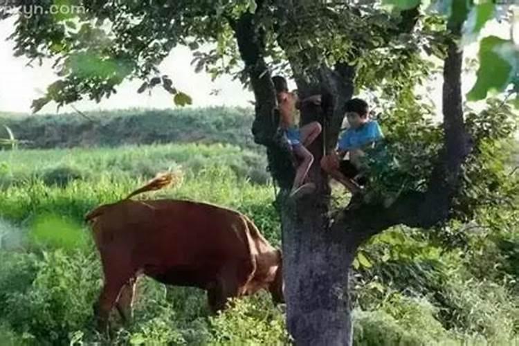两个算命的都说我婚姻不顺,有人会看吗？帮我再看看