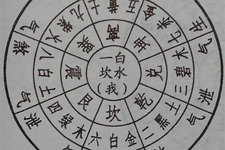 梦见断头蛇是什么意思