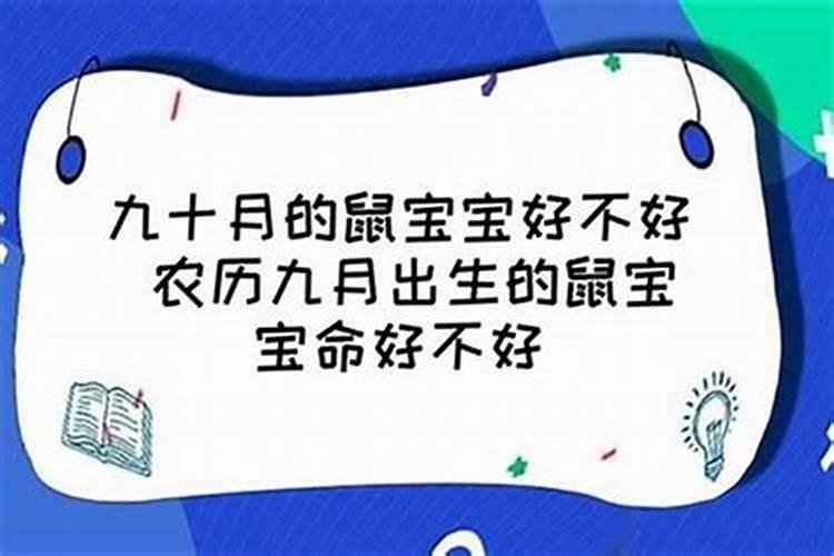 属兔人2025年全年运势及运程