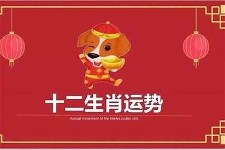 94年出生的28岁属狗人哪年开端发财,哪一年财运最旺？？