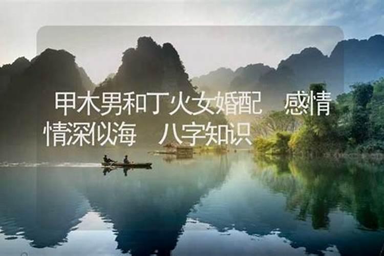 丁酉男和乙木女能合婚吗？