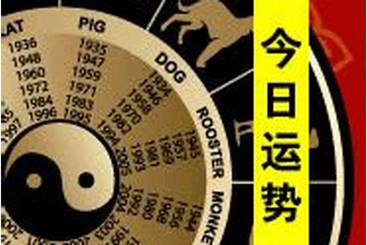 属猴人2025年每月运势及运程详解