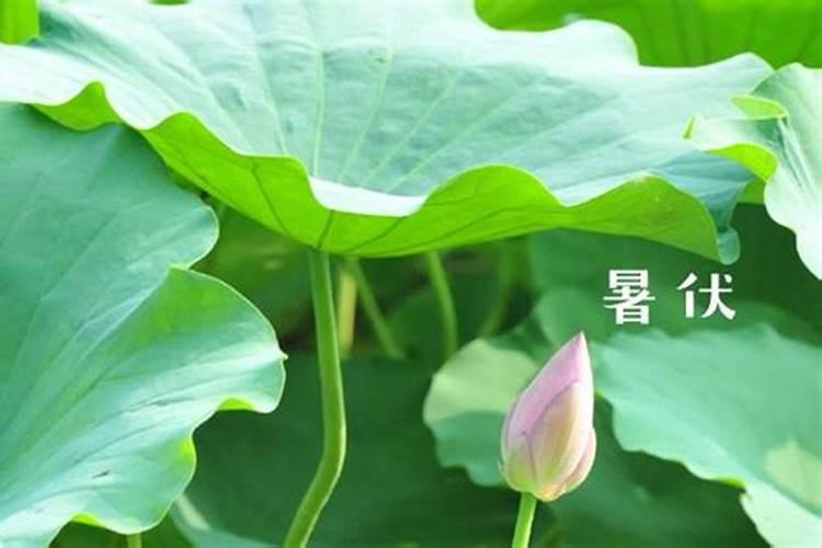清明节去上坟三种人不能去
