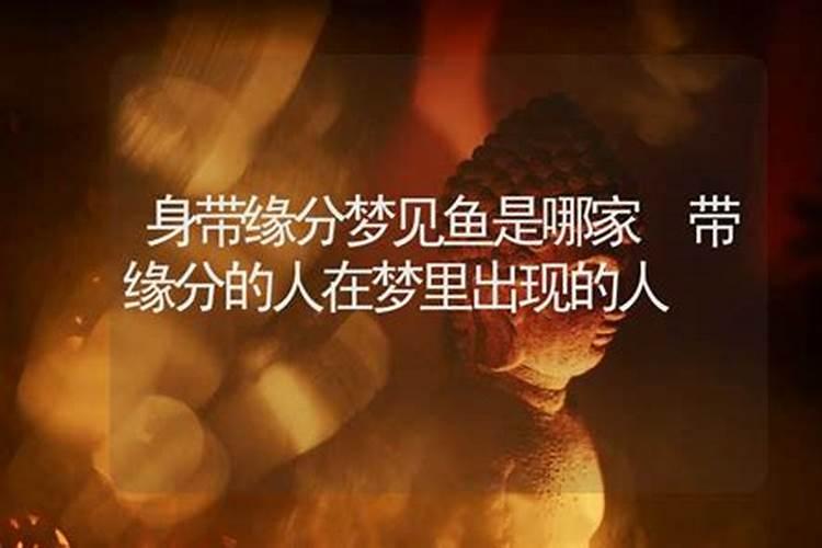 做梦梦到被蛇咬是什么征兆女性解梦