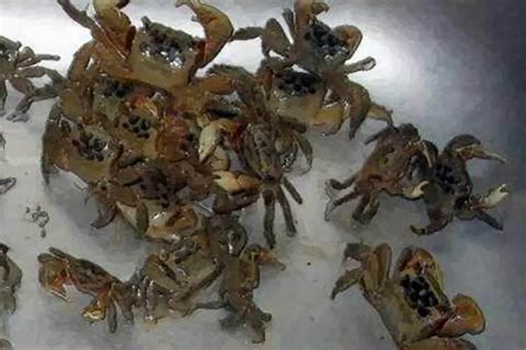 您好:请问在东天目山昭明寺,怎么为堕胎的婴儿超度,如何收费？