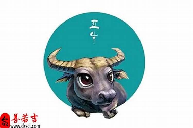1997属牛一生大劫年,1997年属牛人一生命运