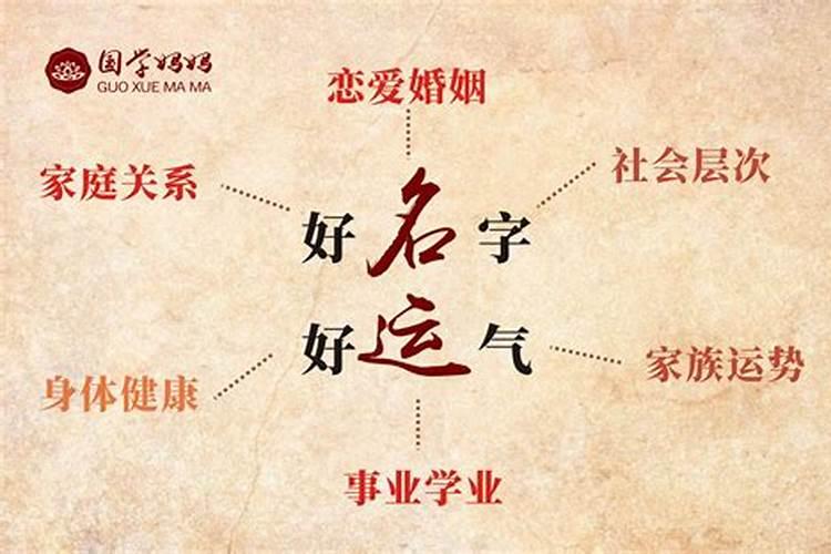 梦见很多鱼是什么征兆 晚上梦见很多鱼是什么征兆