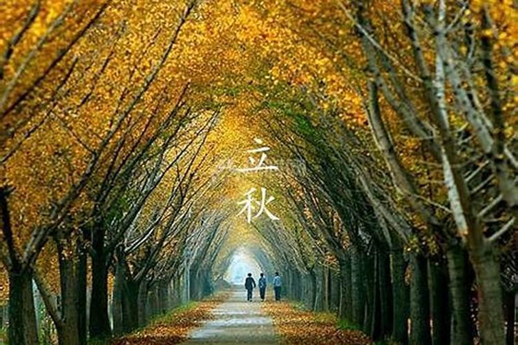 立秋节气常识中咬秋习俗的主要内容有哪些？