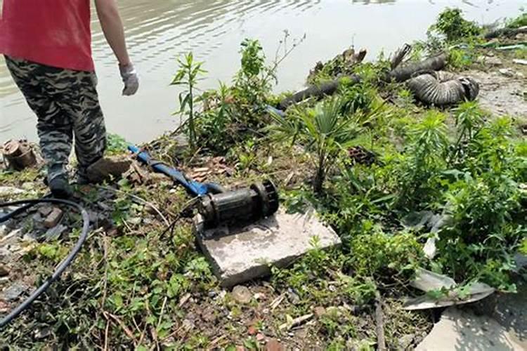 河南多地引黄河水大造人工湖,当地官员一句话道破玄机,他究竟说了什么...
