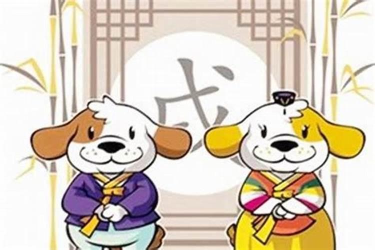 属狗和属狗的婚姻如何 两个属狗的结婚好吗