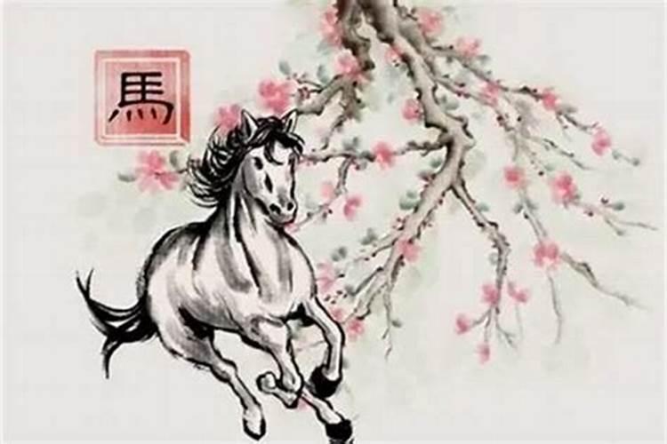 什么属相适合养猫什么属相适合养猫咪