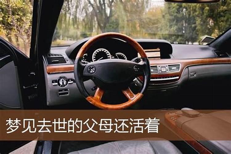 属鸡和属狗的合不合