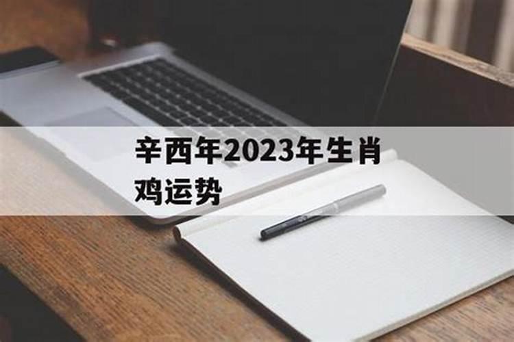 农历1981年10月25日中午1点生人的命运如何,求高手解析