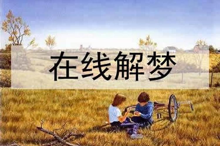 2025年生肖马1990年运势详解