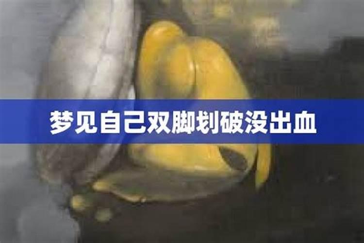 梦到死了的人还活着是什么意思？