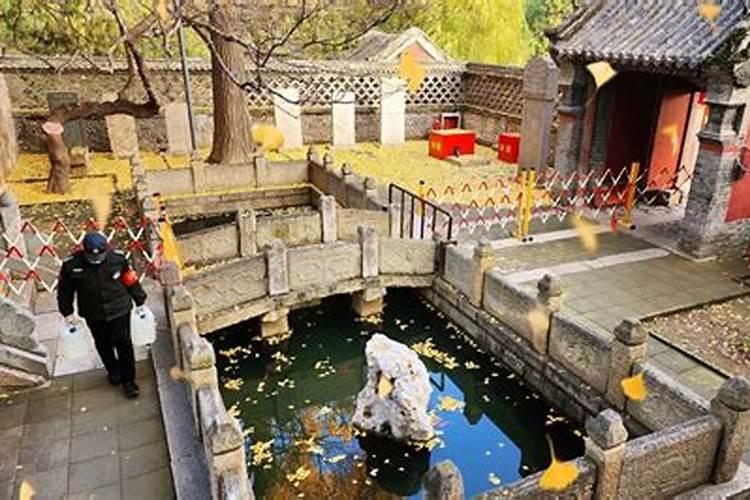 梦见铲墙皮是什么意思