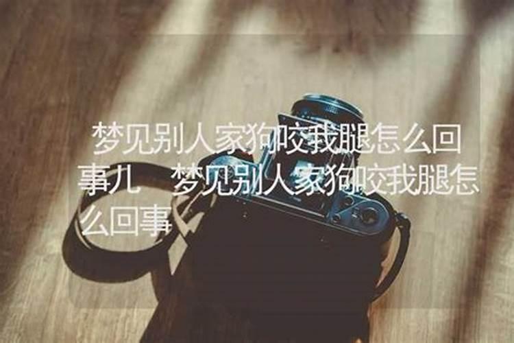 梦到被别人家的狗咬了是什么意思