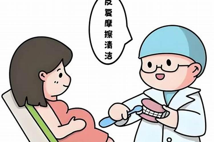 梦见种菜长出来了