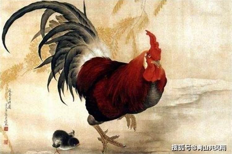 属鸡人2025运势 属鸡人2025年每月运势