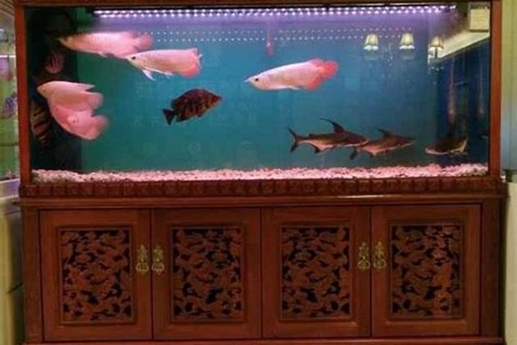 24节气中冬至后下一个节气是什么