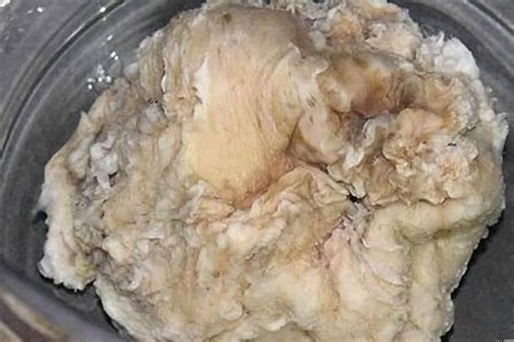 太岁的使用方法与功效