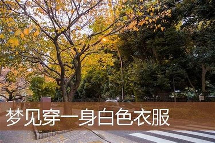 梦见亲戚穿白色衣服