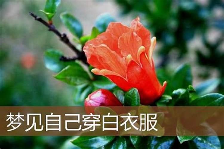 梦见亲人回家穿着一身白色衣服的预兆