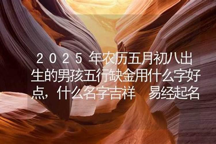 我梦见我想抓条蛇转运 结果我在路上走着 没注意 我堂妹妹抓了条黑黄色...