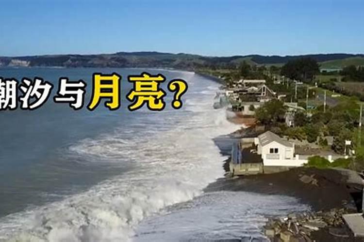 2019年潮汐表仙浴湾龙王庙附近八月十五以后什么时候退潮？