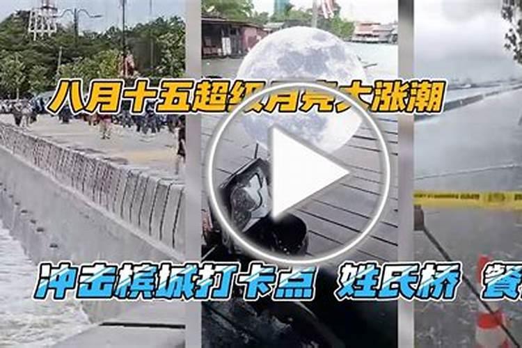 属鼠女人一生的命运,96年属鼠女人一生的命运