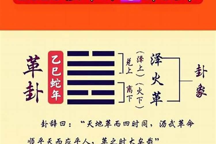 2025年属龙人全年运势详解