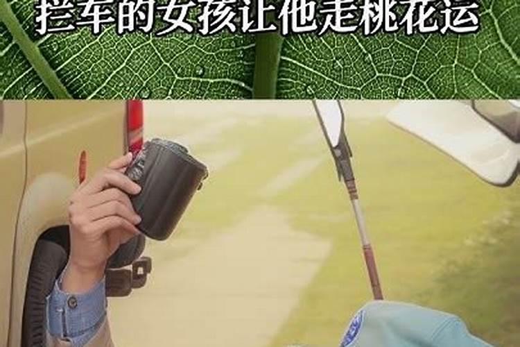 属羊女2025年的运势及运程