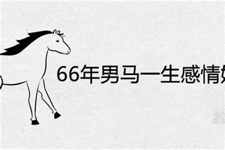 66年属马女下半年运势