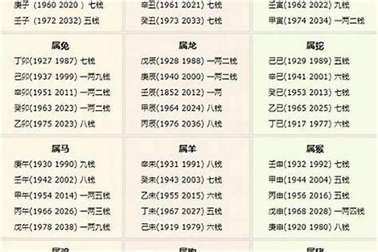 算命几斤几两查询表