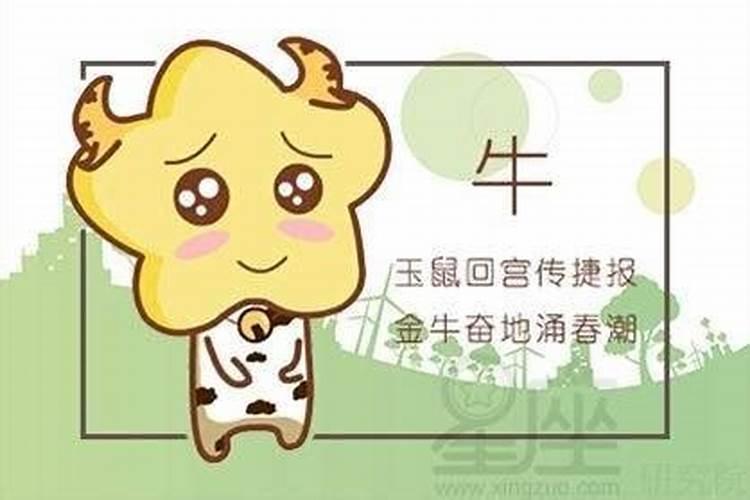冬至烧纸是中午还是晚上扫墓用什么贡品
