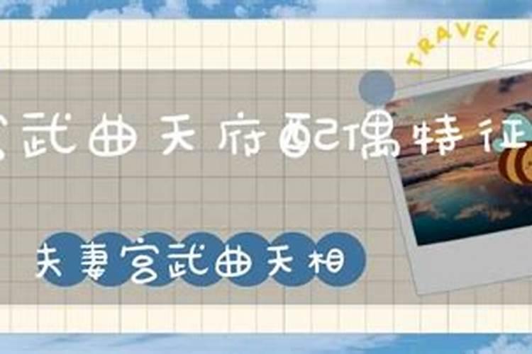 天府星坐守十二宫——夫妻宫
