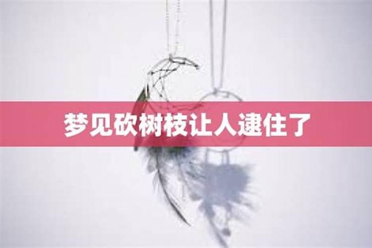 梦见马惊了乱跑有什么寓意