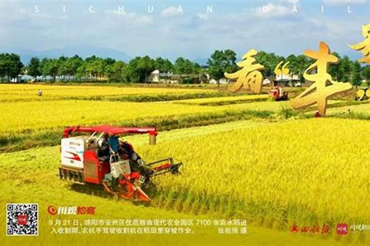 梦见车翻了又自己起来了的预兆
