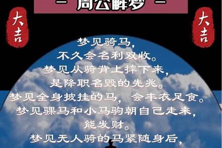 猫进店铺到底吉不吉利