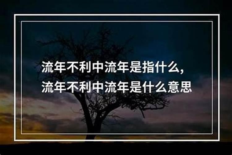 做生意的人捡到一只黑猫,好不好？