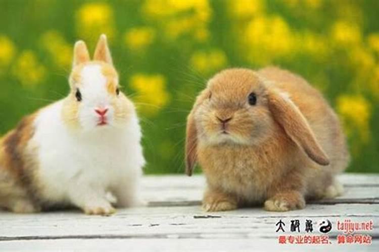 梦到几个人一起吃饭是什么预兆