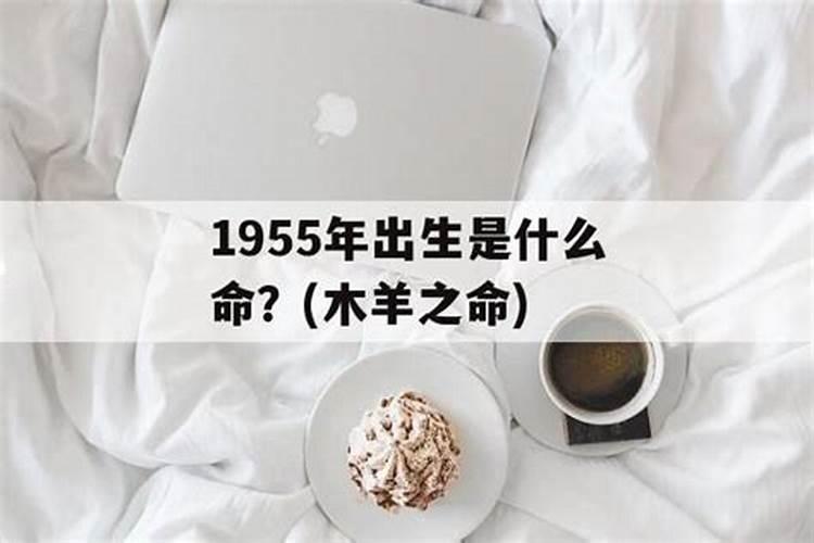 1955年属羊的是什么命 55年生肖羊为木羊之命？