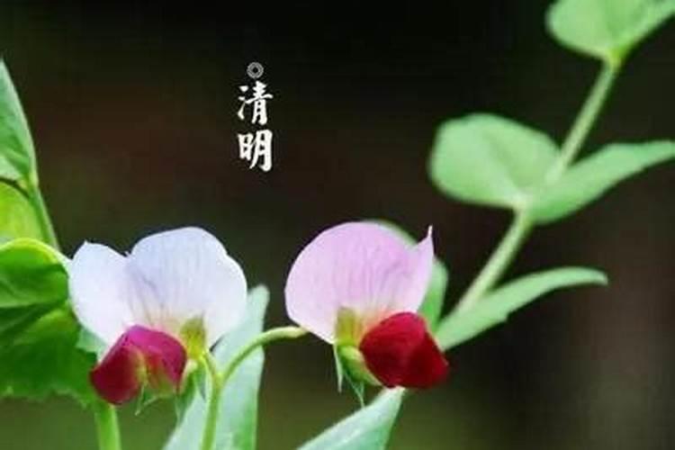 夫妻俩梦见发大水