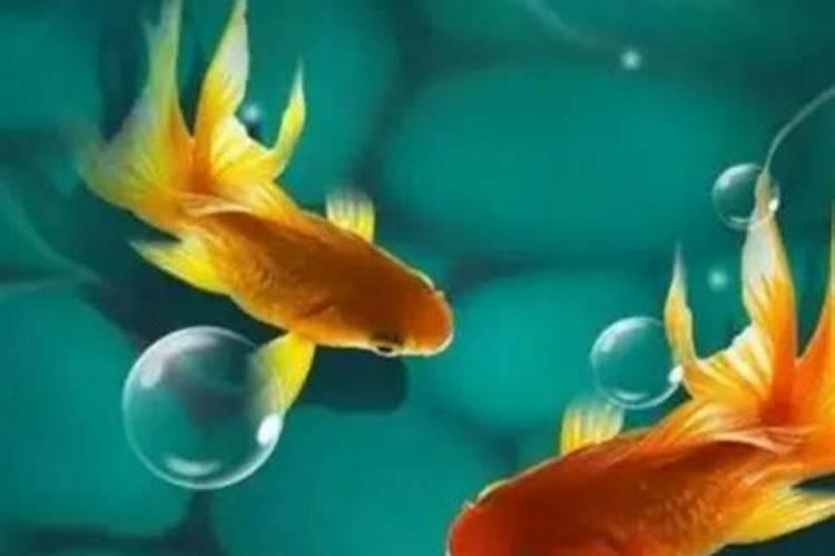 网上找大师算运势真的靠谱吗？