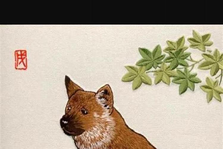哪个免费算命网最准