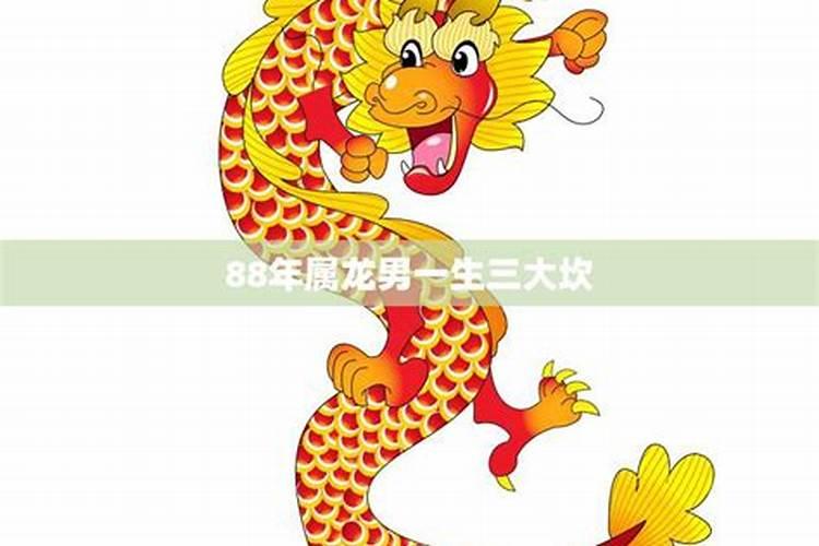 八字不看后悔系列2丨教你如何看自己的桃花运